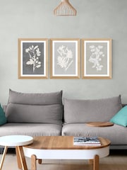 East End Prints Oak Botanical Illustration Triptych Wall Art Prints by Cartissi - Image 1 of 2