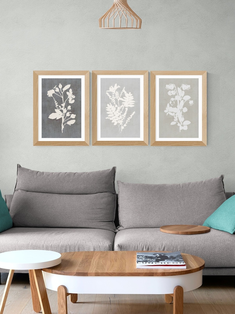East End Prints Oak Botanical Illustration Triptych Wall Art Prints by Cartissi - Image 1 of 2