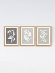East End Prints Oak Botanical Illustration Triptych Wall Art Prints by Cartissi - Image 2 of 2