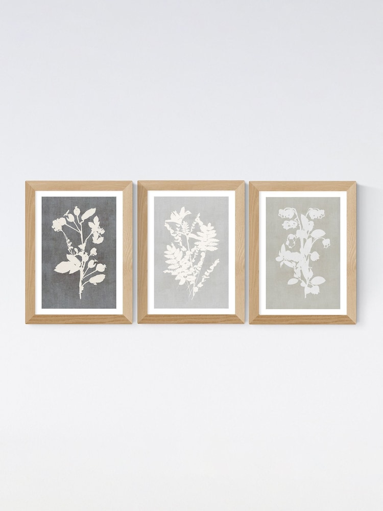 East End Prints Oak Botanical Illustration Triptych Wall Art Prints by Cartissi - Image 2 of 2
