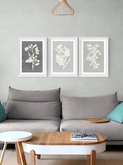 East End Prints White Botanical Illustration Triptych Wall Art Prints by Cartissi - Image 1 of 2