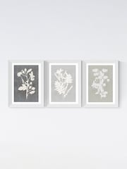 East End Prints White Botanical Illustration Triptych Wall Art Prints by Cartissi - Image 2 of 2
