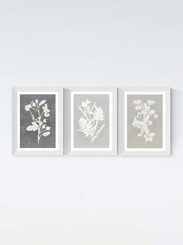 East End Prints White Botanical Illustration Triptych Wall Art Prints by Cartissi - Image 2 of 2
