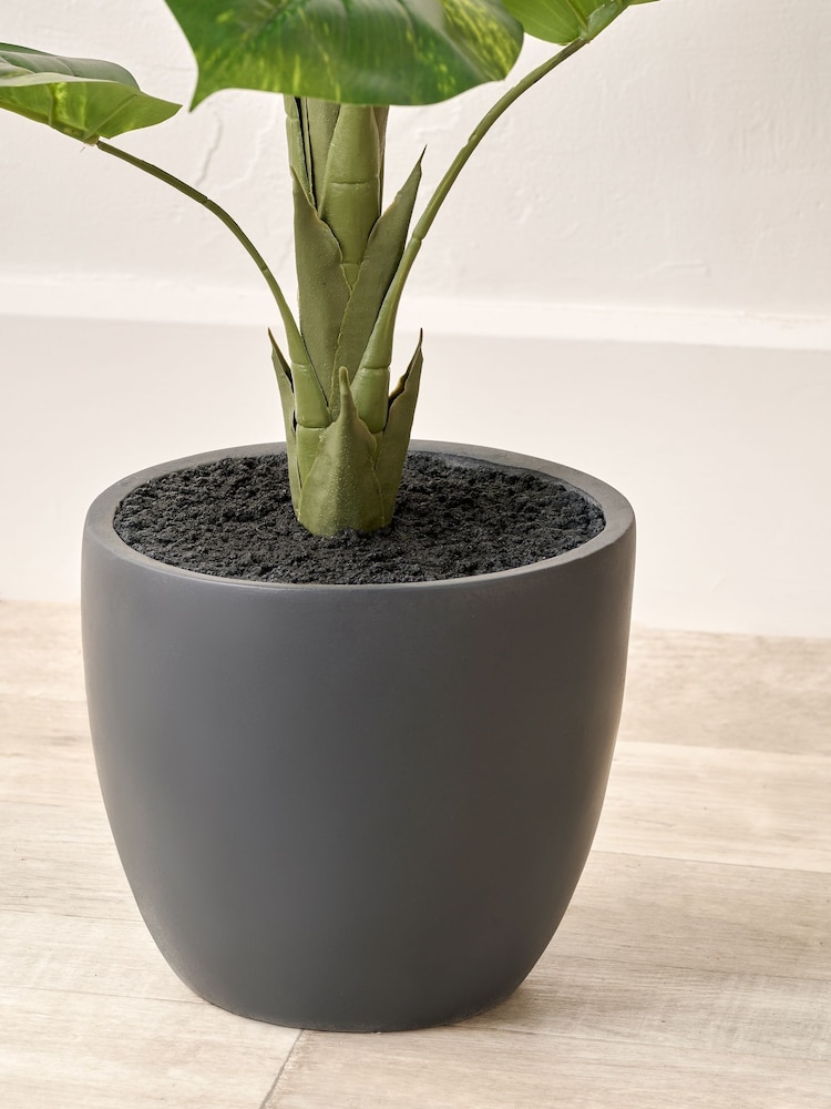 Pacific Lifestyle Green Elephant Ear Plant - Image 2 of 3