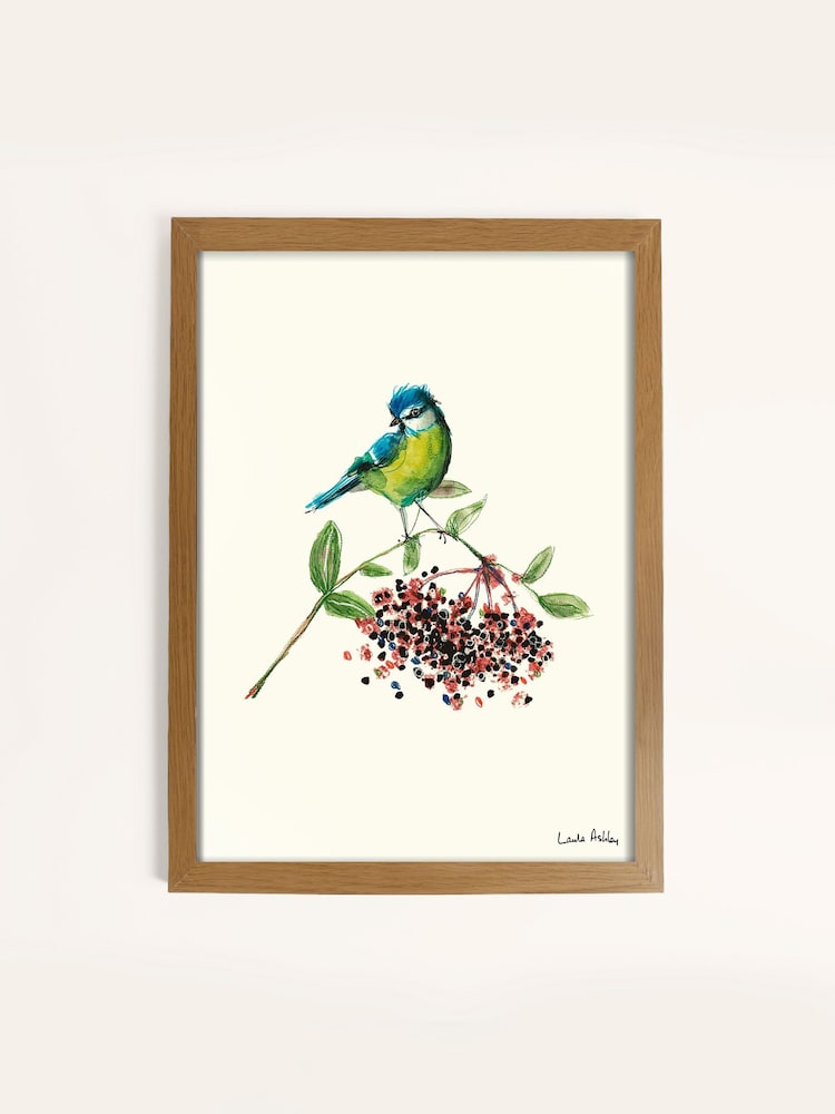 Laura Ashley Blue Tit Bird 73 x 103 cm Wood Medium Frame - Image 2 of 4