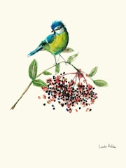 Laura Ashley Blue Tit Bird 73 x 103 cm Wood Medium Frame - Image 4 of 4