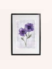 Laura Ashley Purple Anemone Floral 73 x 103 cm Large Frame - Image 2 of 4