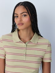 Grün gestreift - Fitted Short Sleeve Polo Top - Bild 1 von 8