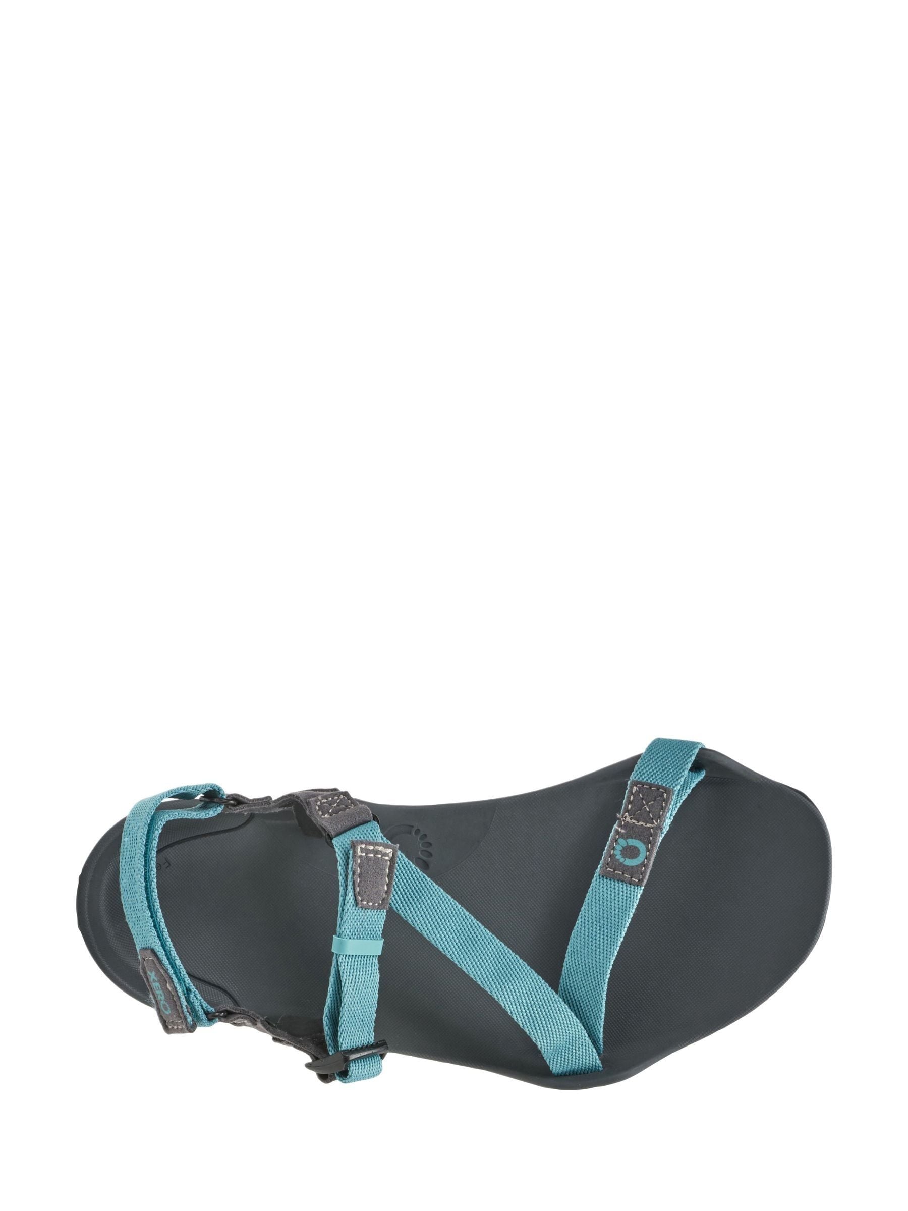 Buy Xero Blue Barefoot Z-Trek Sandals from Next USA