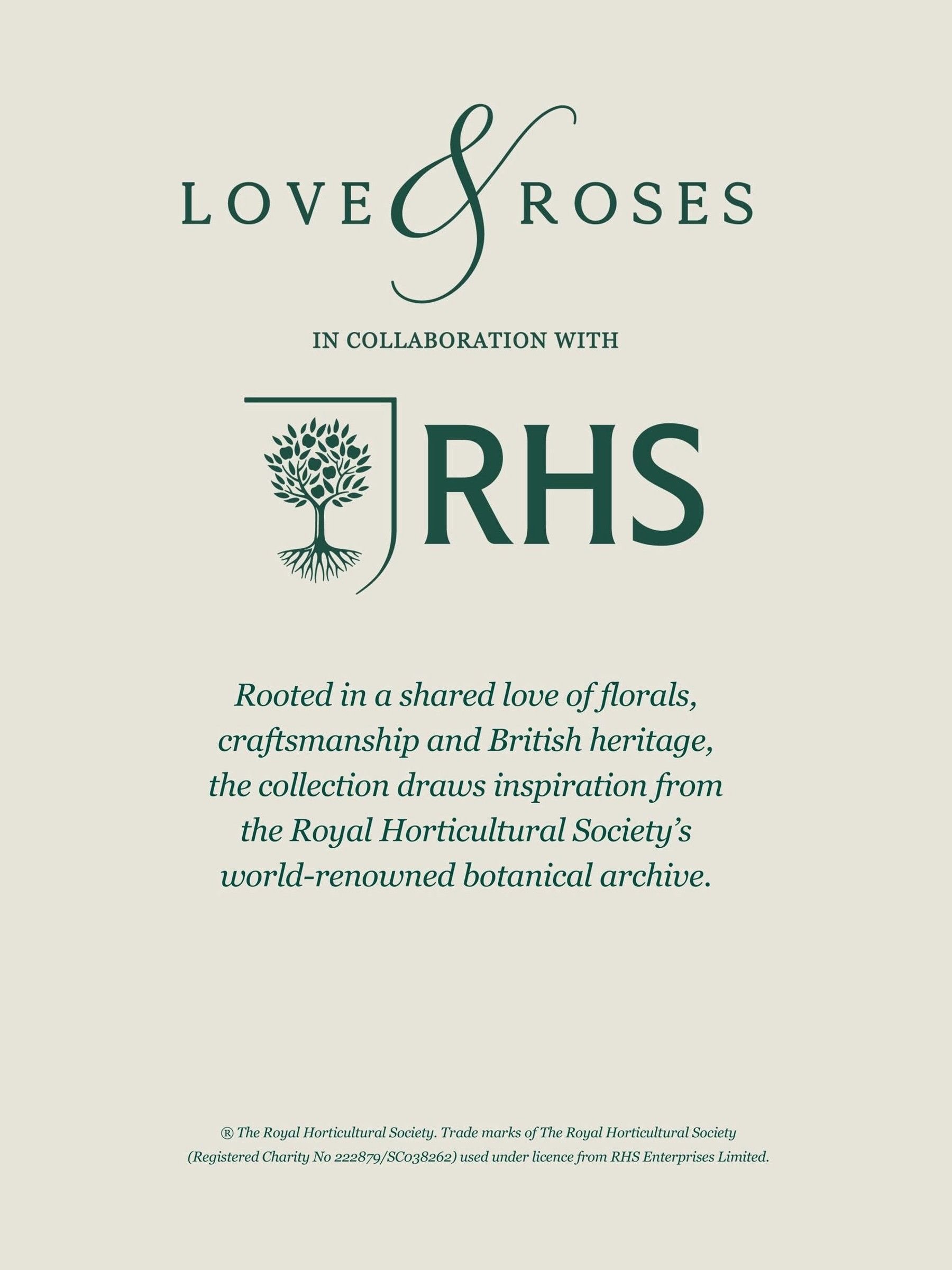 Buy Love & Roses x RHS Ivory 3D Floral Print Blouse from Next USA