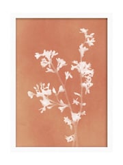 Graham & Brown Multicolour Flower Press Orange White Frame - Image 2 of 4