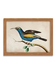 Graham & Brown Multicolour Ready for Flight Wood Frame - Image 2 of 4