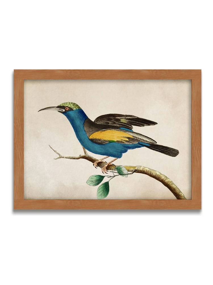 Graham & Brown Multicolour Ready for Flight Wood Frame - Image 2 of 4