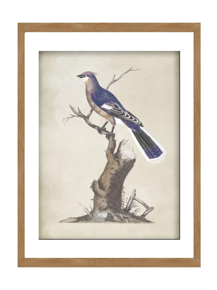 Graham & Brown Blue Perched Serenity Wood Frame - Image 2 of 4