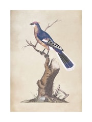 Graham & Brown Blue Perched Serenity Wood Frame - Image 4 of 4