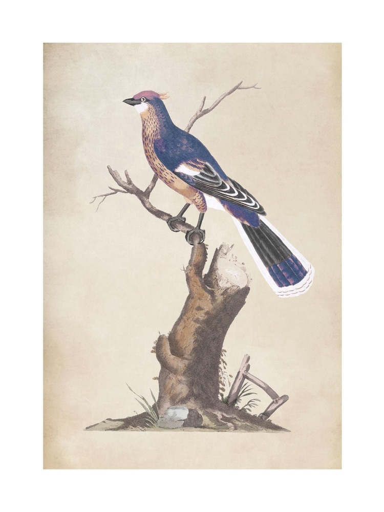 Graham & Brown Blue Perched Serenity Wood Frame - Image 4 of 4