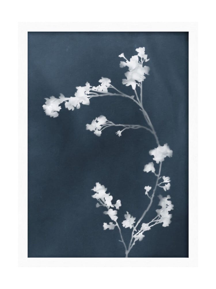 Graham & Brown Multicolour Flower Press Blue White Frame - Image 2 of 4