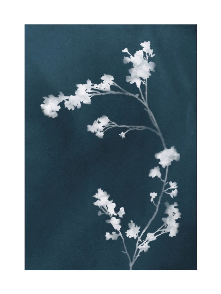 Graham & Brown Multicolour Flower Press Blue White Frame - Image 4 of 4