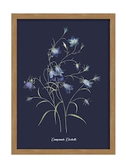 Graham & Brown Multicolour Glasshouse Bluebell Wood Frame - Image 2 of 4