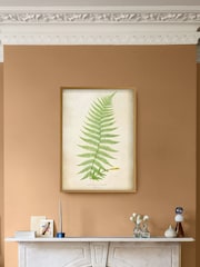 Graham & Brown Multicolour Asplenium Filix-Foemina Wood Frame - Image 1 of 4