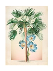 Graham & Brown Multicolour Botanique Jungle Lush Wood Frame - Image 4 of 4