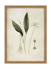 Graham & Brown Multicolour Allium Ursinum Wood Frame - Image 2 of 4