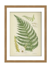 Graham & Brown Green Vinvent Brooks Fern Wood Frame - Image 2 of 4