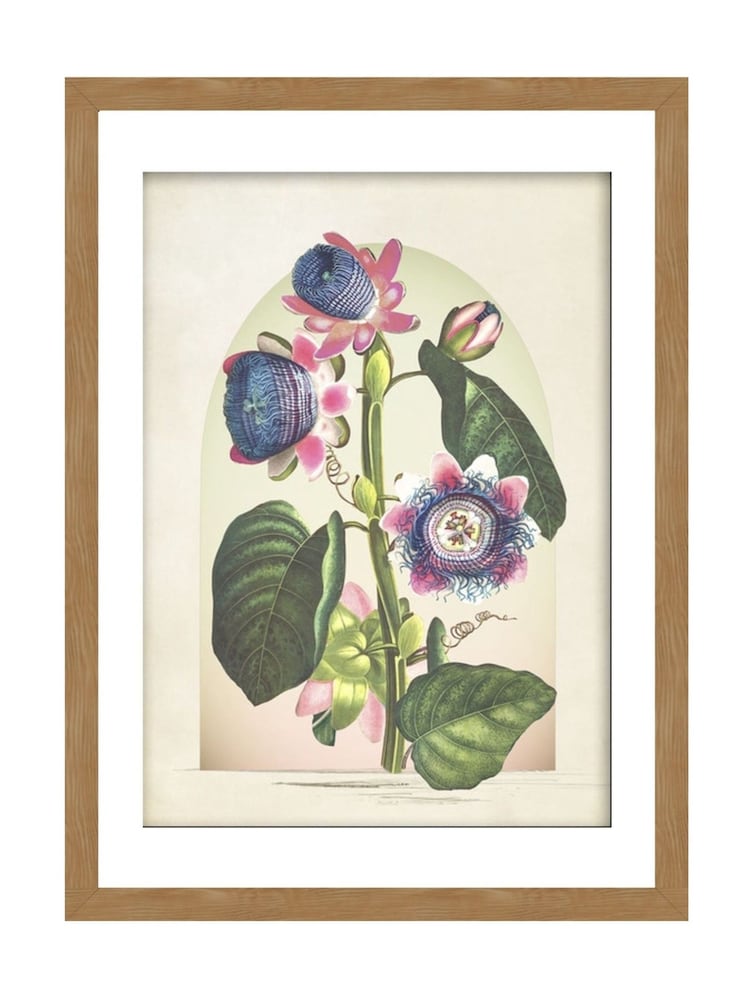 Graham & Brown Multicolour Botanique Jungle Bloom Wood Frame - Image 2 of 4 Graham & Brown Multicolour Botanique Jungle Bloom Wood Frame - Image 2 of 4