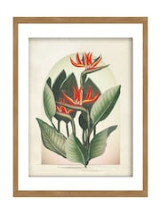Graham & Brown Multicolour Botanique Jungle Exotic Floral Wood Frame - Image 2 of 4
