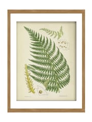 Graham & Brown Green Vinvent Brooks Fern Wood Frame - Image 2 of 4