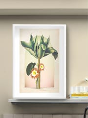 Graham & Brown Multicolour Botanique Jungle Tree White Frame - Image 1 of 4