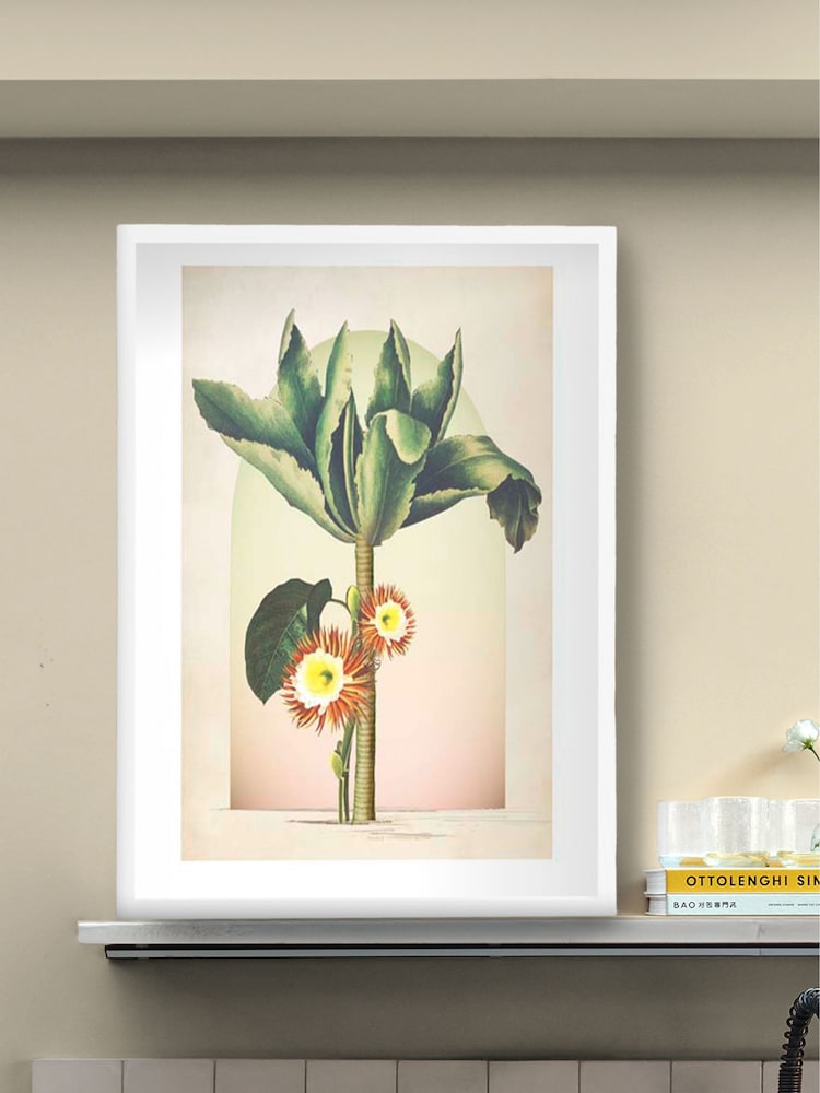 Graham & Brown Multicolour Botanique Jungle Tree White Frame - Image 1 of 4