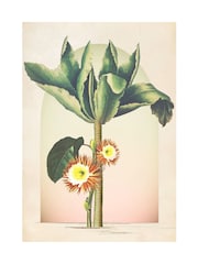 Graham & Brown Multicolour Botanique Jungle Tree White Frame - Image 4 of 4