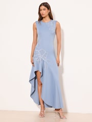 Lipsy Light Blue Floral Applique Ruffle Aysmettrical Fit And Flare Maxi Dress - Image 1 of 4