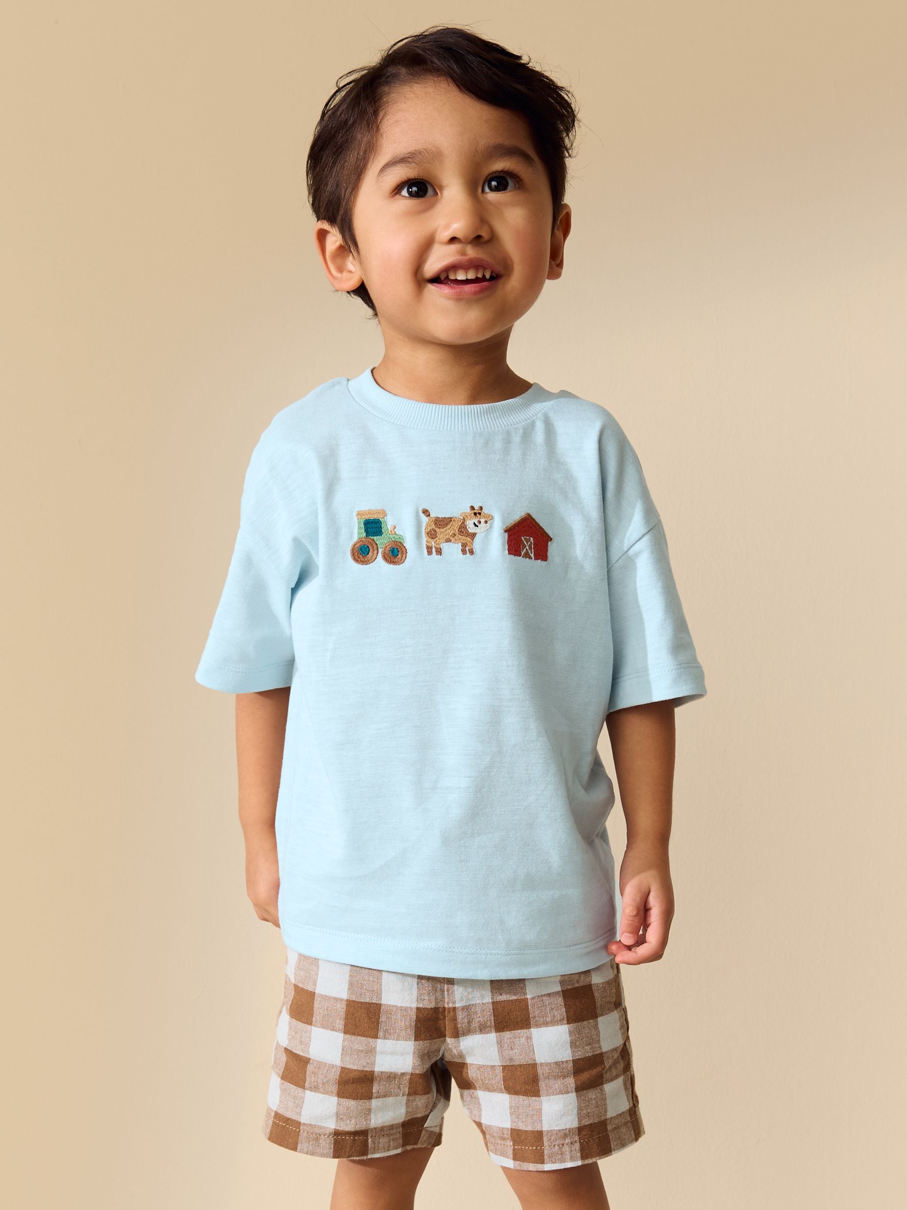 Buy Blue Farm Trio Embroidery Short Sleeve Appliqué T-Shirt (3mths