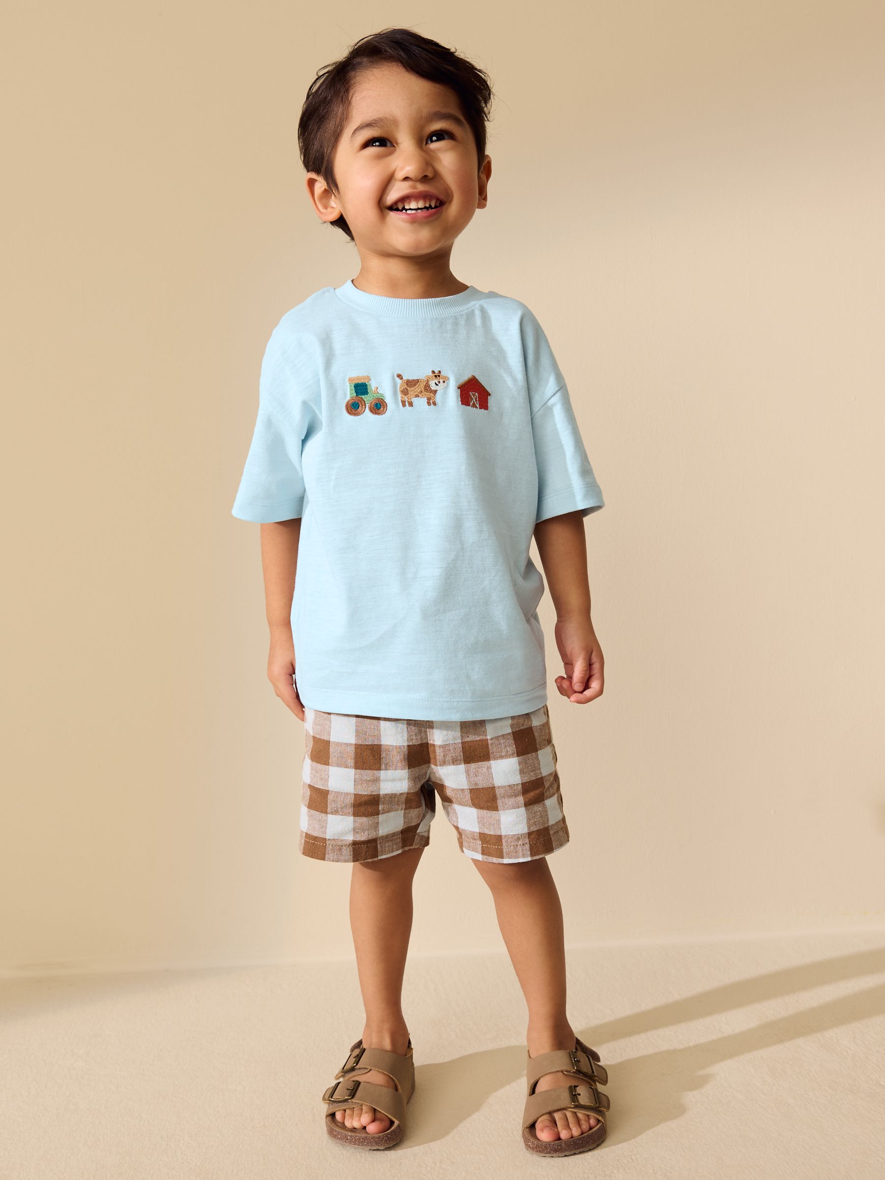 Buy Blue Farm Trio Embroidery Short Sleeve Appliqué T-Shirt (3mths