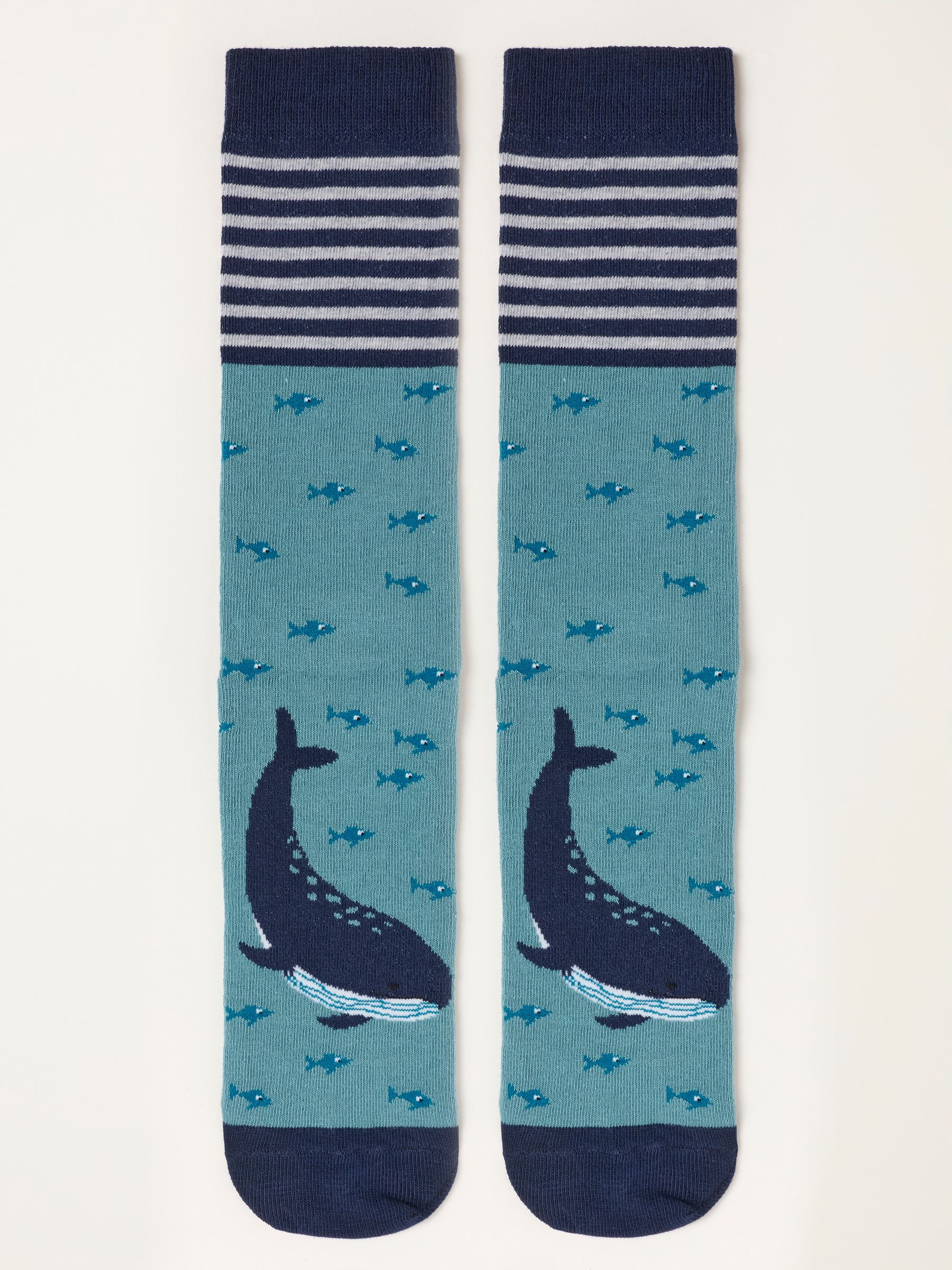 FatFace Blue Whale Socks