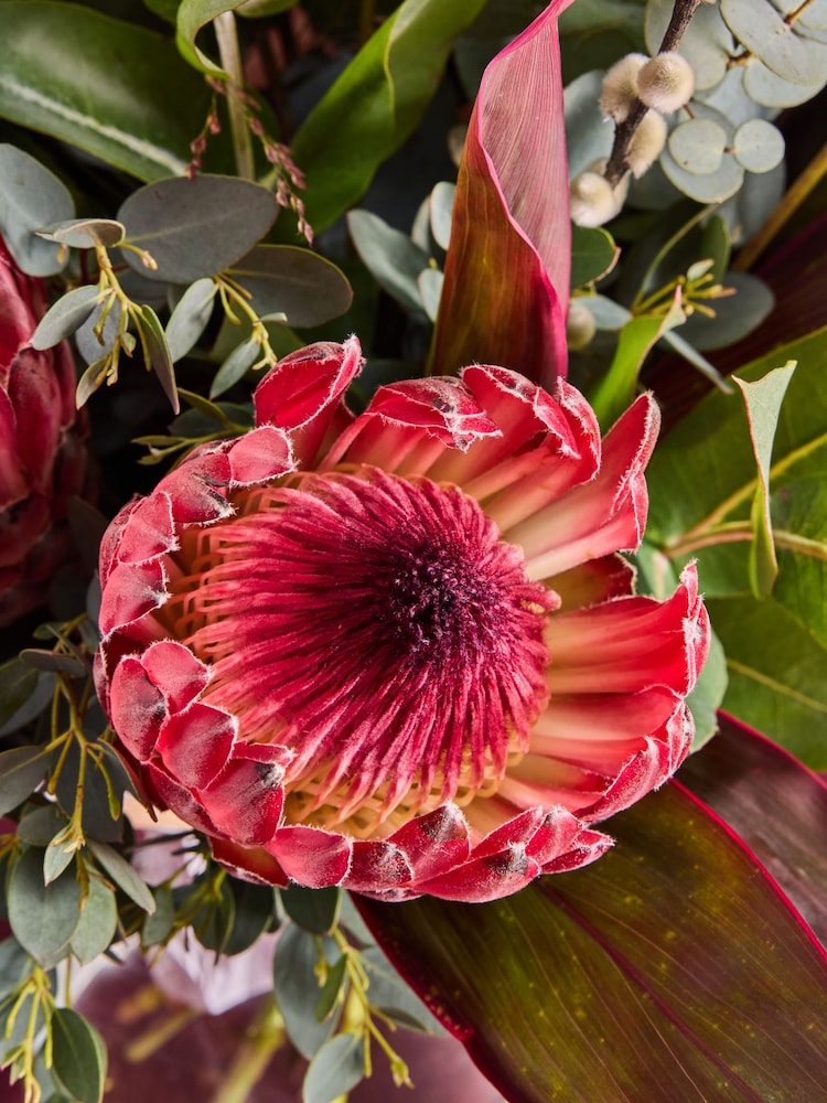 Pink/White Protea and Lisianthus Fresh Flower Bouquet - Image 2 of 4