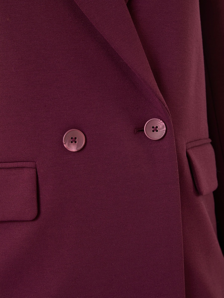 Roman Red Premium Stretch Ponte Blazer - Image 5 of 5