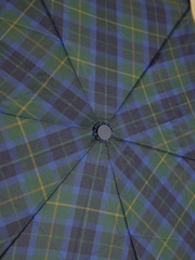 Joules Rayne Blue & Green Check Umbrella - Image 7 of 8