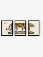 East End Prints Set of 3 Black Jaguar Wall Art Prints by Natural History Museum - Image 2 of 2