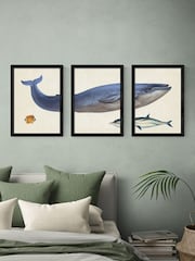 East End Prints Set of 3 Black Whale Wall Arts Prints by Natural History Museum - Image 1 of 2