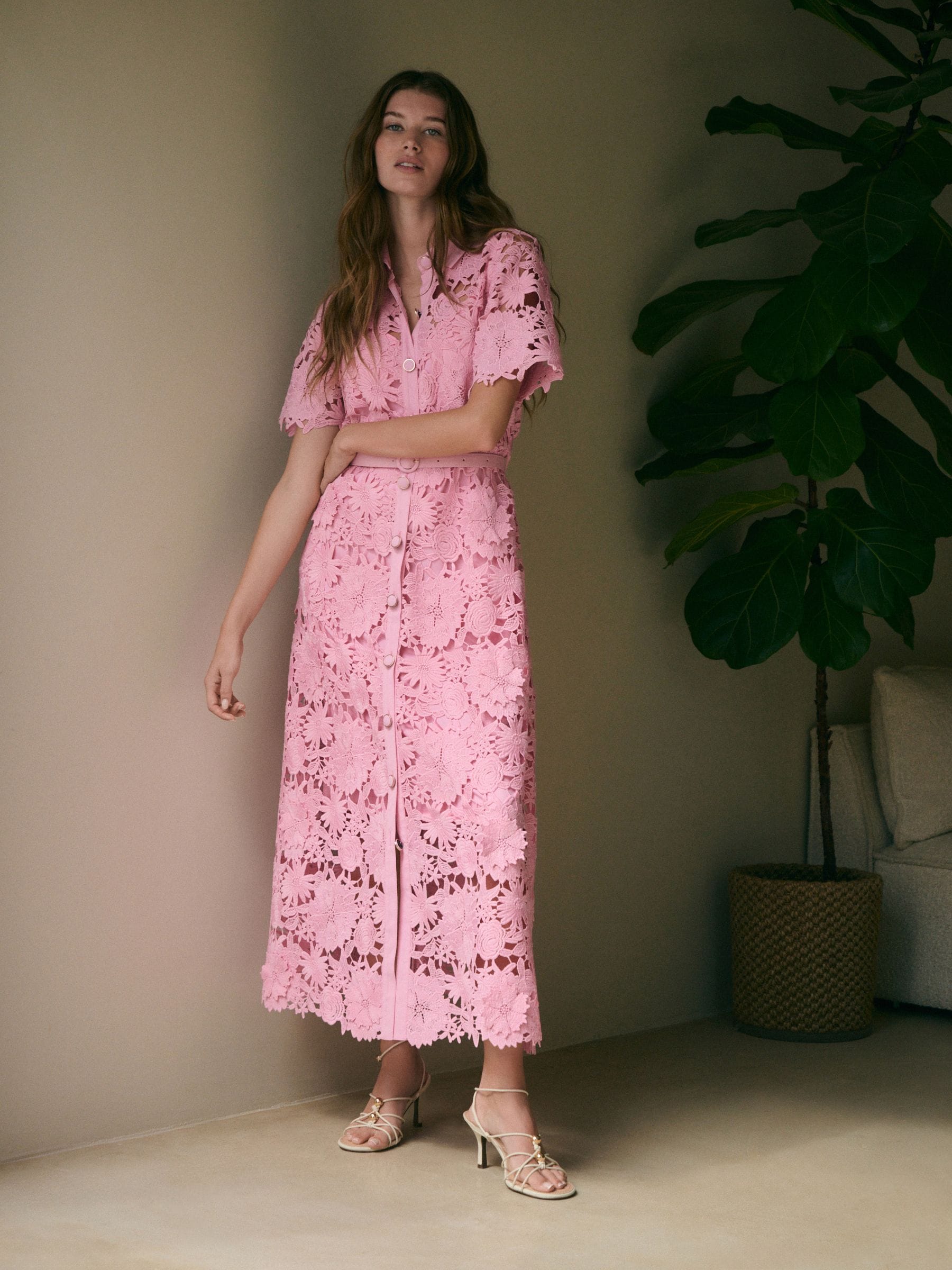 Buy Pink N. Premium Short Sleeve Midi Lace Occasion Shirt Dress