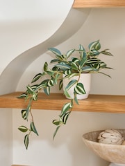 Green Artificial Trailing Plant in Ceramic Pot - Image 1 of 3