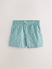 Aqua Boat Print 5 Inch Swim Shorts - Image 8 of 11