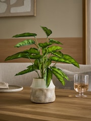 Τεχνητό φυτό Calathea σε κεραμικό δοχείο - Εικόνα 1 του 3