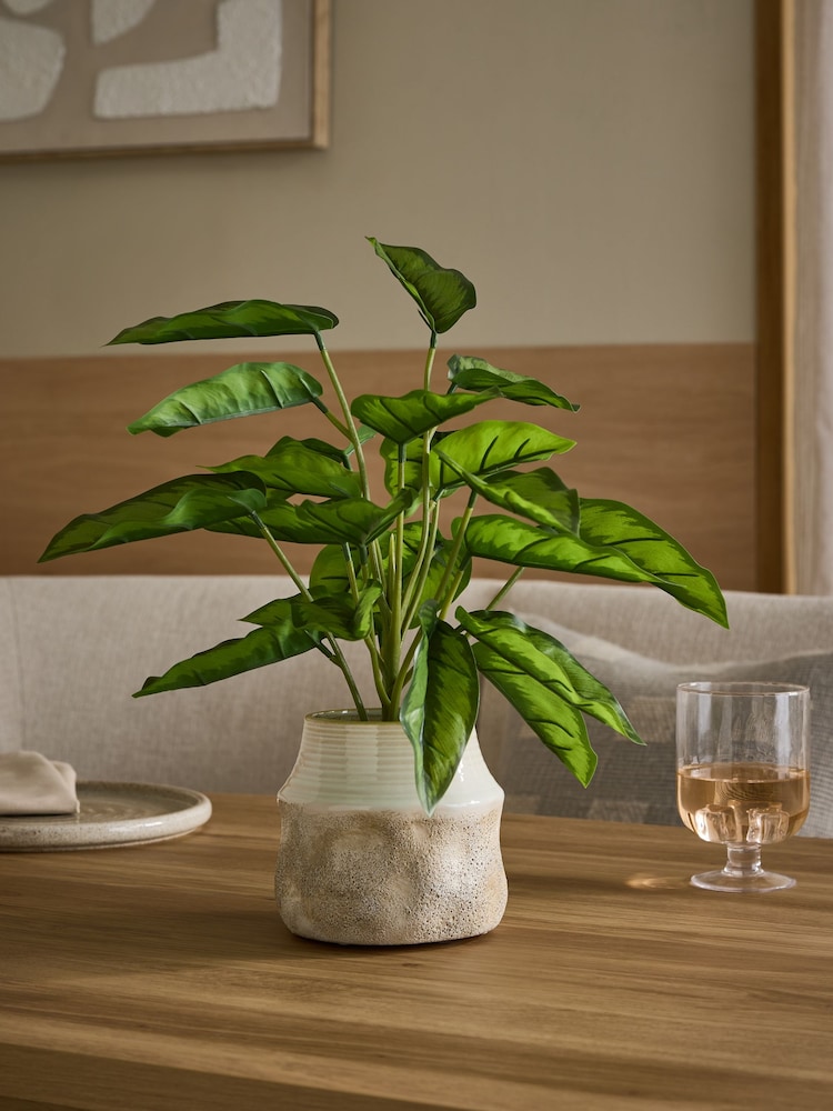 Τεχνητό φυτό Calathea σε κεραμικό δοχείο - Εικόνα 1 του 3