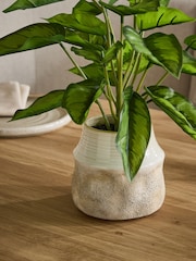 Τεχνητό φυτό Calathea σε κεραμικό δοχείο - Εικόνα 2 του 3
