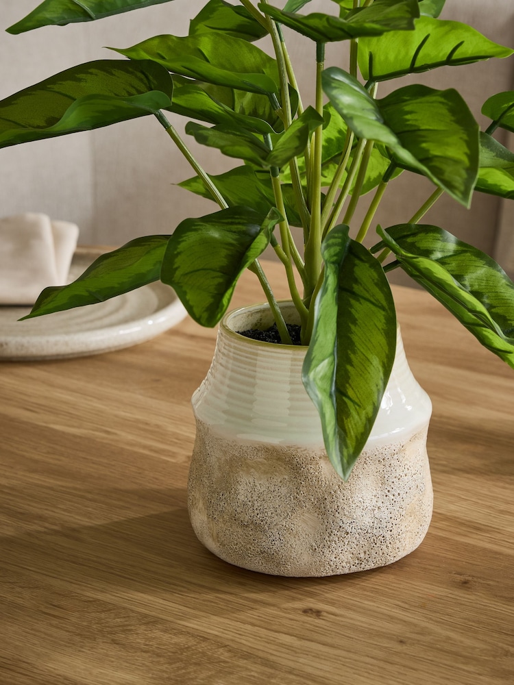 Τεχνητό φυτό Calathea σε κεραμικό δοχείο - Εικόνα 2 του 3