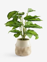 Τεχνητό φυτό Calathea σε κεραμικό δοχείο - Εικόνα 3 του 3